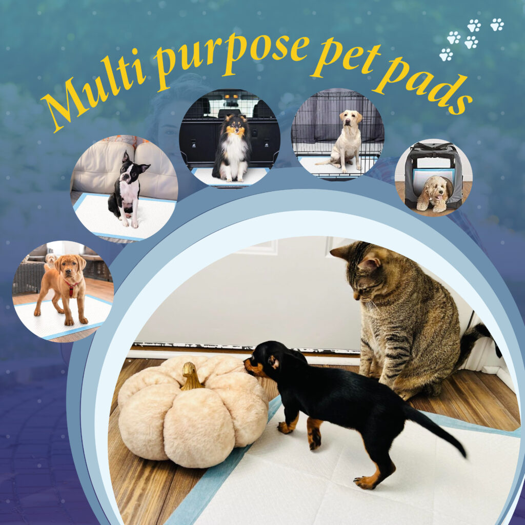 TBM Puppy Pads Large Size Pack of 50 Or 100 60 x 60