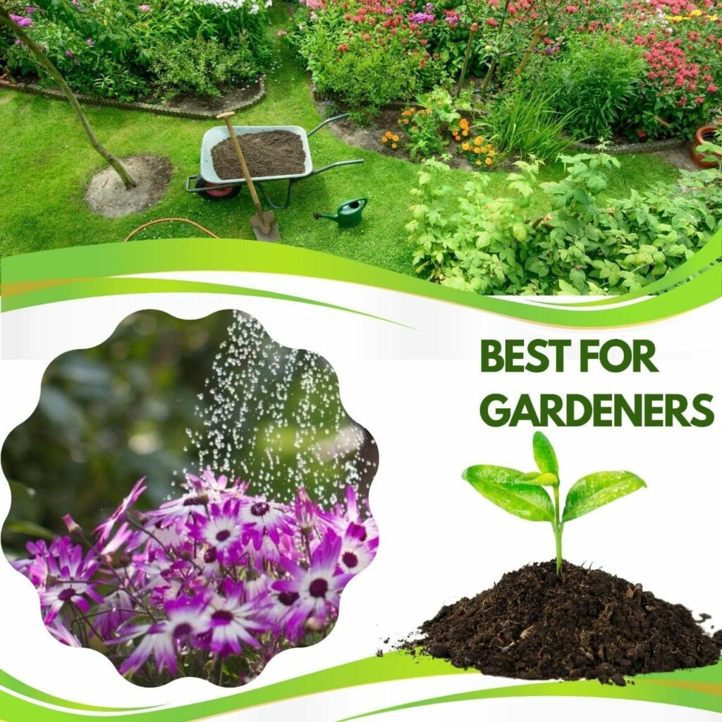 Garden Hose Pipe Spray Gun