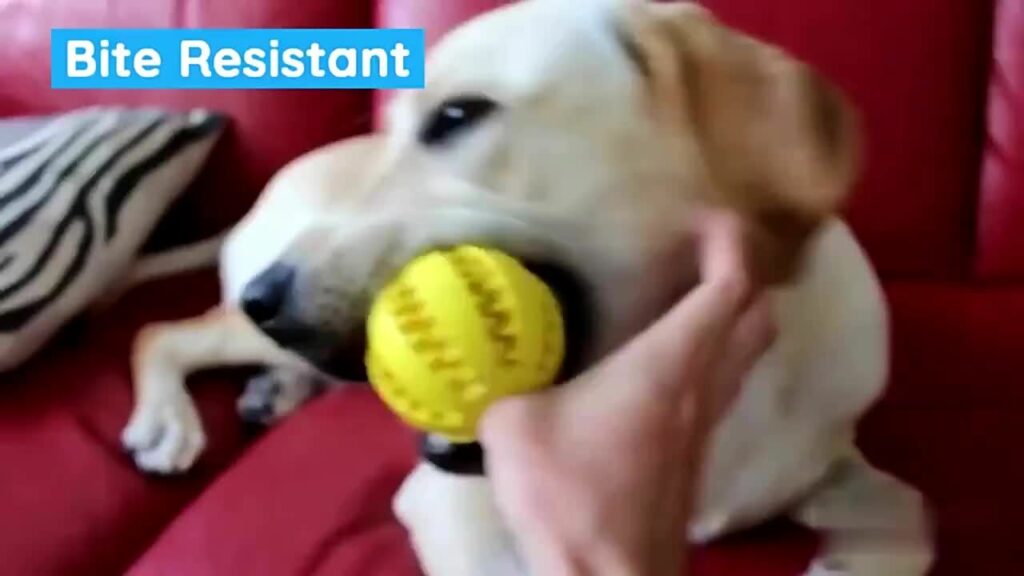 1pc Dog Ball Toys for Chew