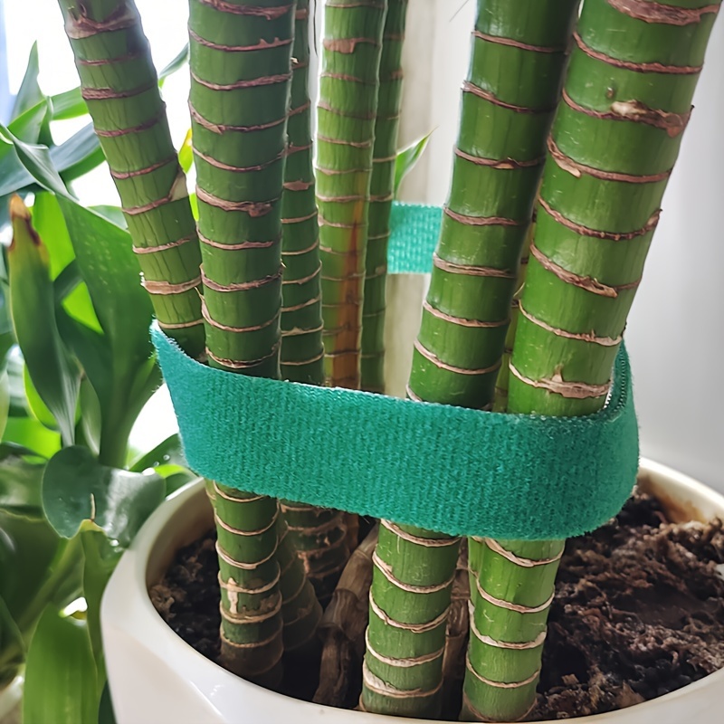 Garden Plant Tie Strap Roll Adjustable Plant Support Tape