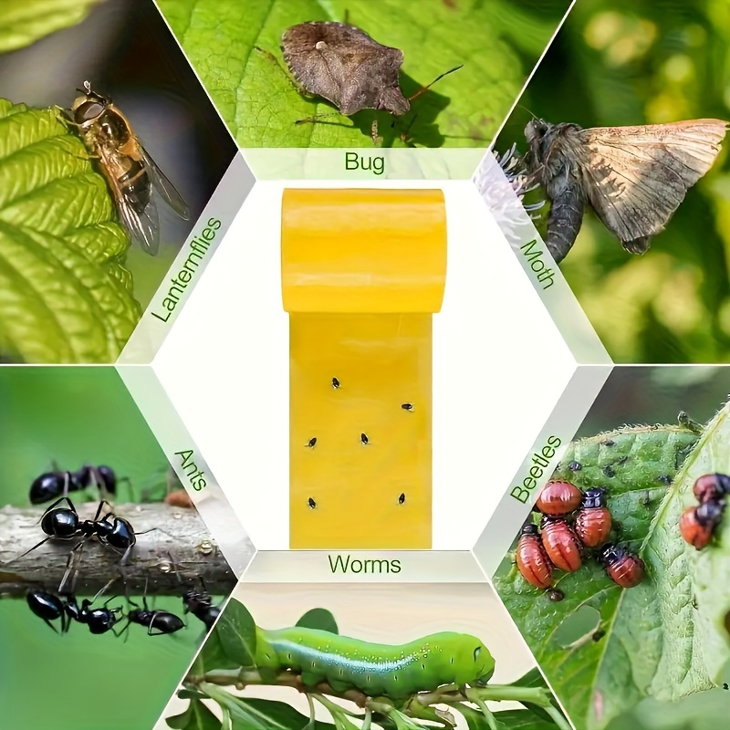 Yellow Double Sided Insect Trap Tape Garden Pest Control