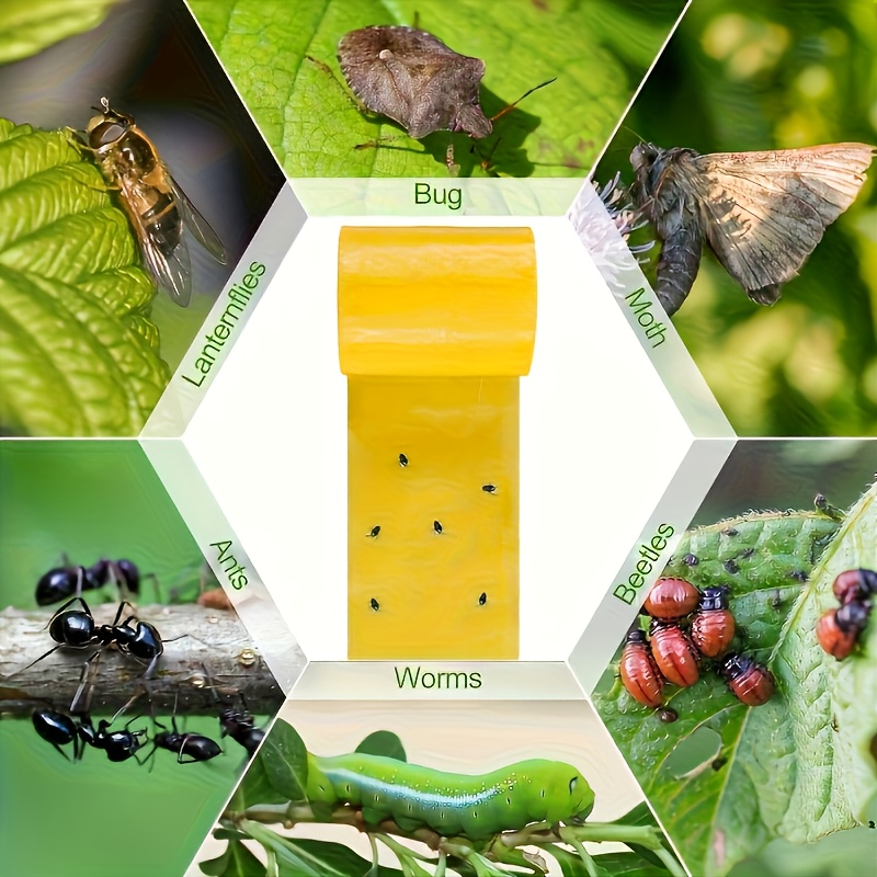 Yellow Double Sided Insect Trap Tape Garden Pest Control