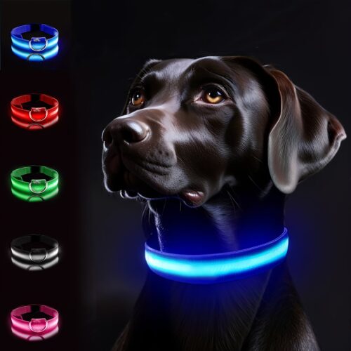 LED Glow Dog Collar