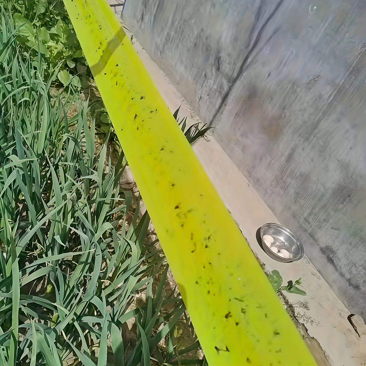 Yellow Double Sided Insect Trap Tape Garden Pest Control