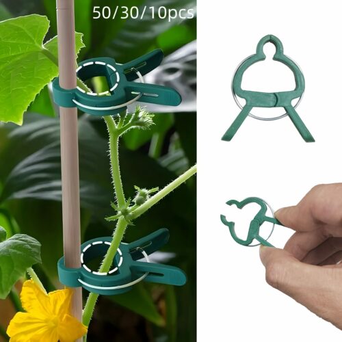 50/30/10pcs Adjustable Plant Clips – Reusable Garden Support For Flowers, Vines, Vegetables & Tomatoes – Durable Plastic, Essential Gardening Tools