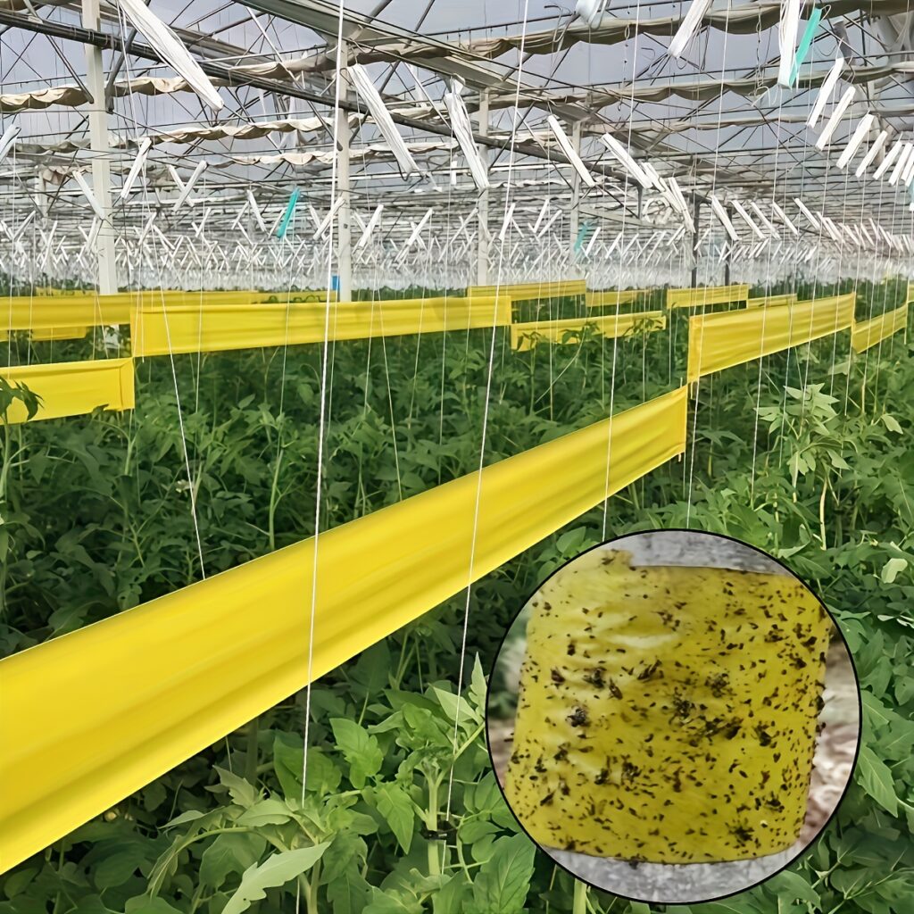 Yellow Double Sided Insect Trap Tape Garden Pest Control