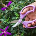 Professional Pruning Shears Stainless Steel Garden Scissors