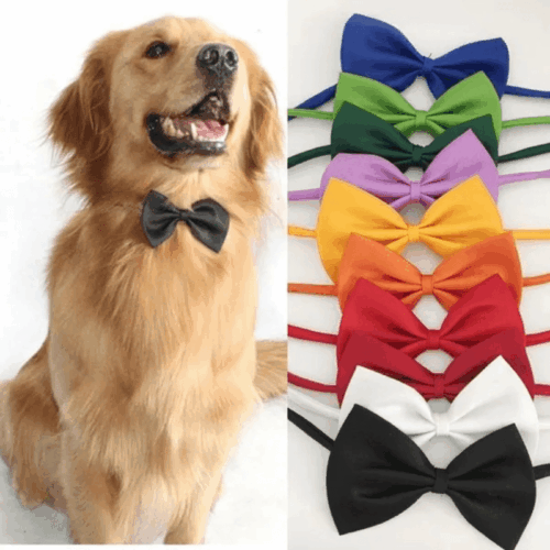 Chic Adjustable Pet Bow Tie Collar