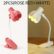 2pcs-white-rose-red