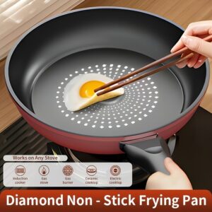 Nonstick Cast Iron Skillet Fry Pan for Induction
