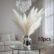 white-pampas-grass10pcs